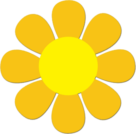 70s Flower PNG