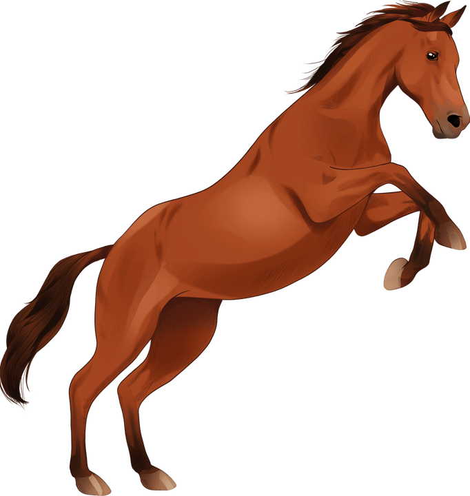 Arabian Horse PNG