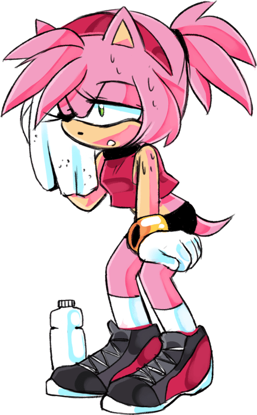 Amy Rose 2d PNG