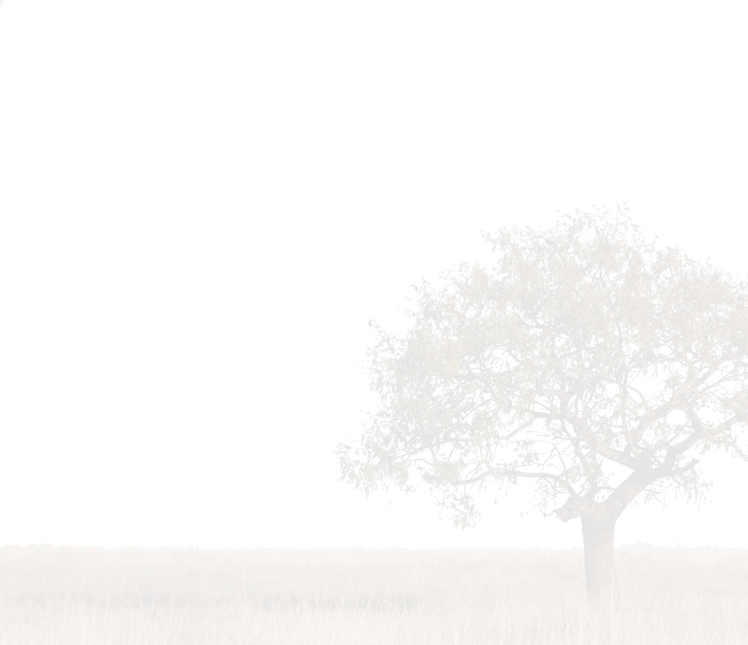 Alien Tree PNG