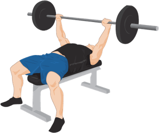 Exercise Bench PNG