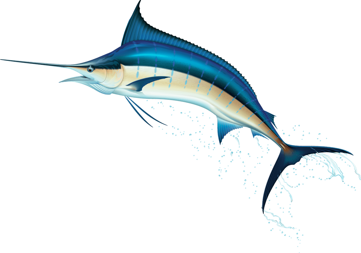 Sword Fish PNG