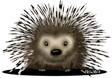 Porcupine PNG
