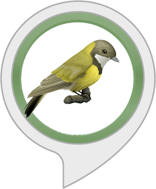 Forest Bird PNG