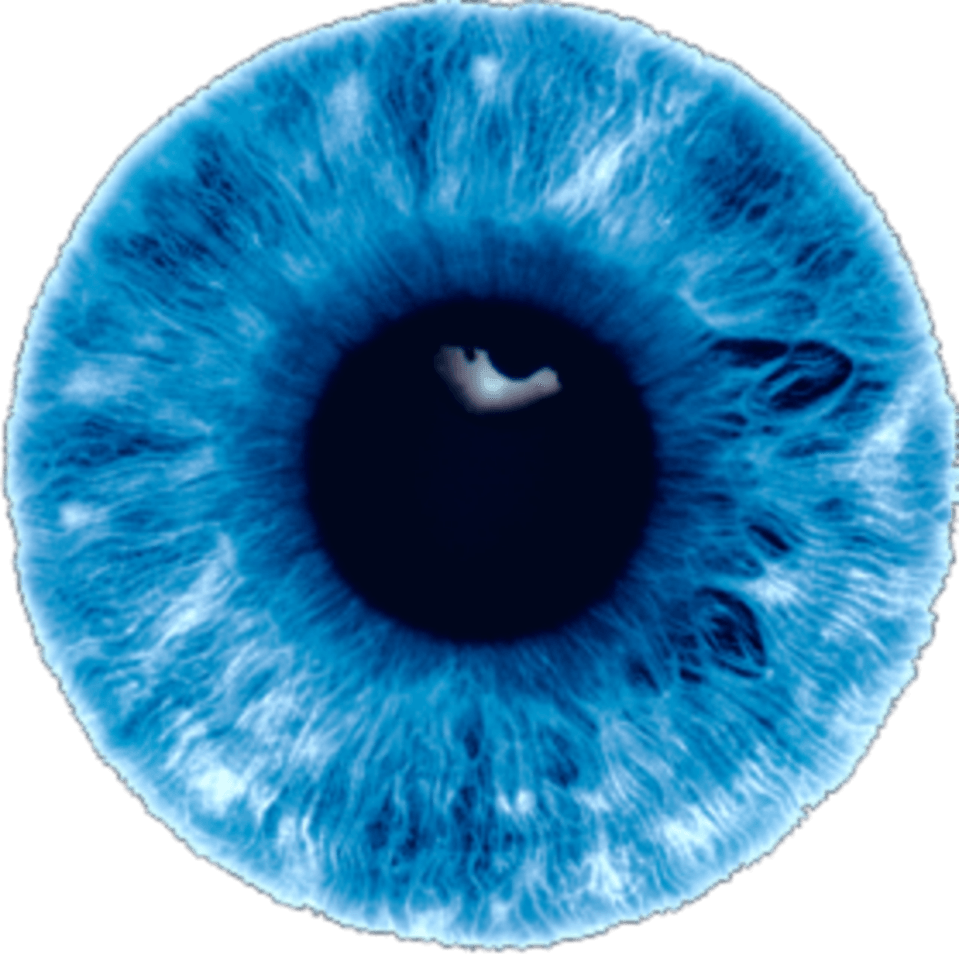 Blue Eye PNG