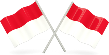 Indonesia Flag PNG