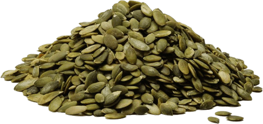 Pumpkin Seeds PNG