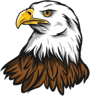 Eagle Head PNG