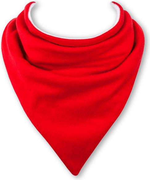 Bandana PNG