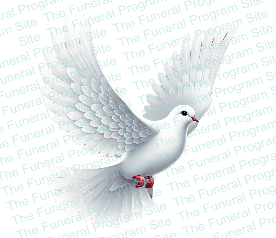 Funeral Dove PNG