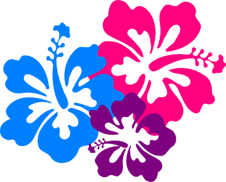 Hawaiian Flowers PNG
