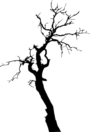 Tree Outline PNG