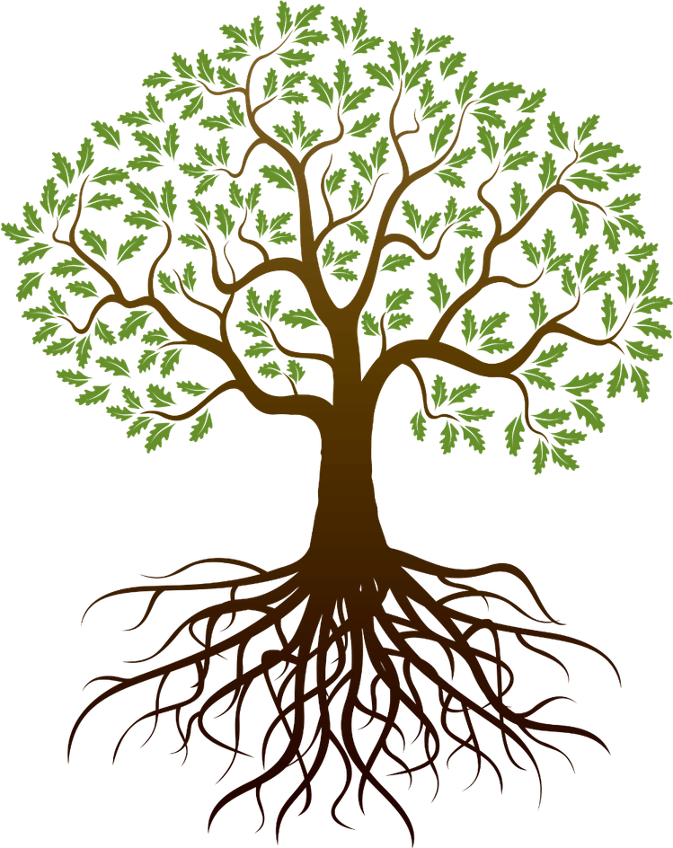 Tree Drawing PNG