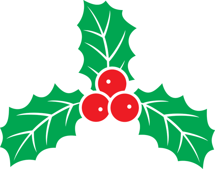 Holly PNG