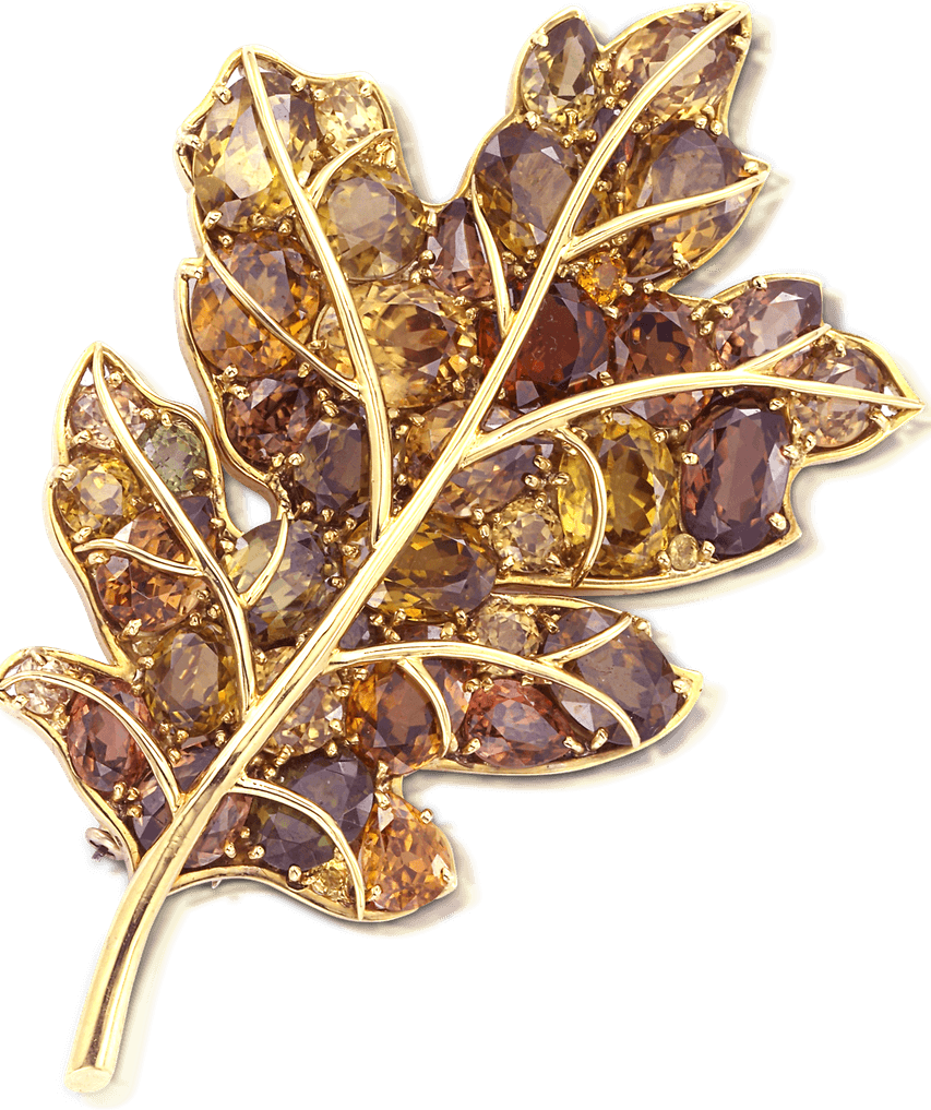 Autumn Leaf PNG