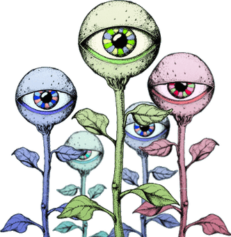 Hippy Flower PNG