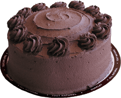 Chocolate Cake PNG