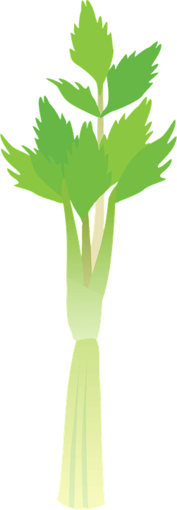 Stalk PNG