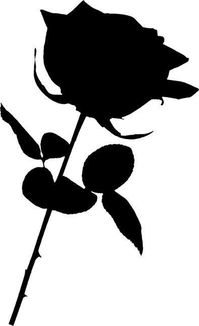 Black And White Rose PNG