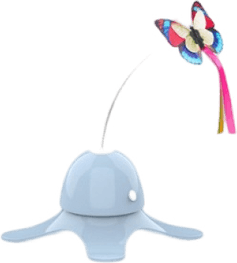 Spinning Cat PNG