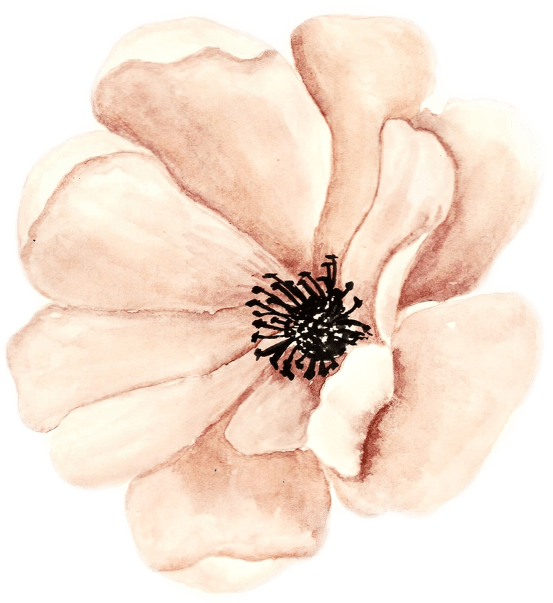 Flower Aesthetic Theme PNG