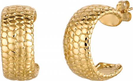 Gold Earrings PNG