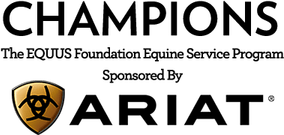 Ariat Logo PNG