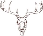 Deer Skull PNG