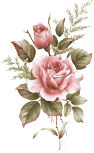 Flower Aesthetic Theme PNG