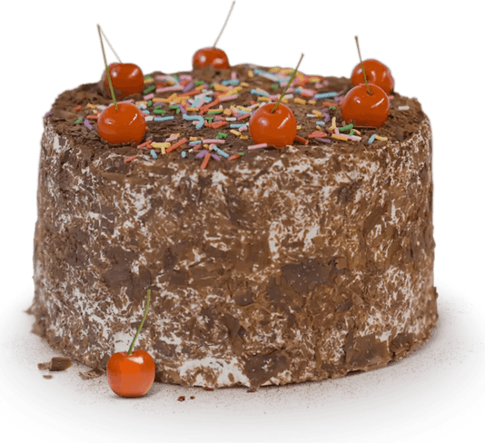 Portal Cake PNG