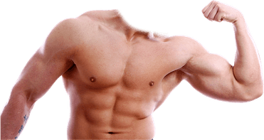 Biceps PNG