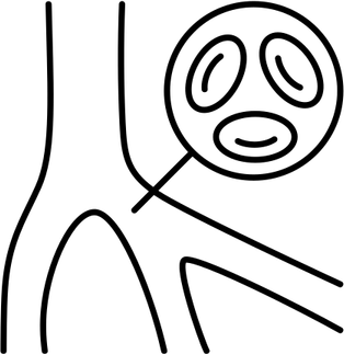 Veins PNG