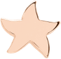 Small Star PNG