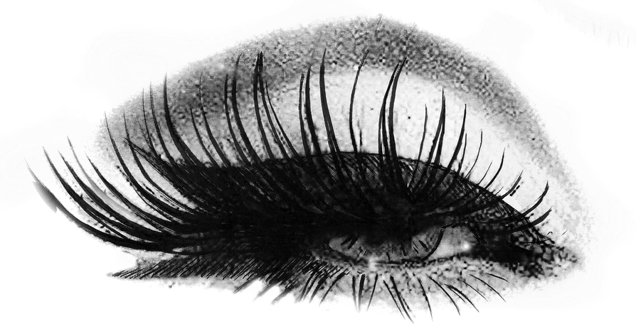 Eyelash Logo PNG