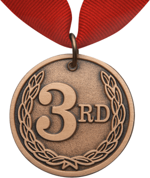 Bronze Medal PNG