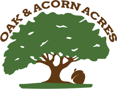 Acorn Oak PNG