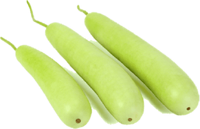 Ash Gourd PNG