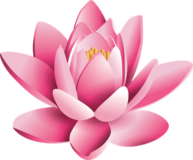 Lotus PNG