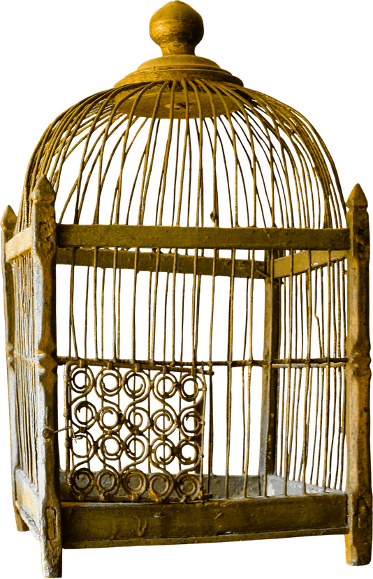 Bird Cage PNG