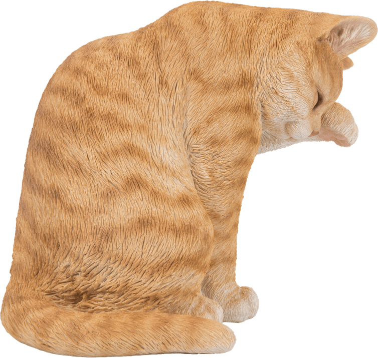 Ginger Tabby Cat PNG