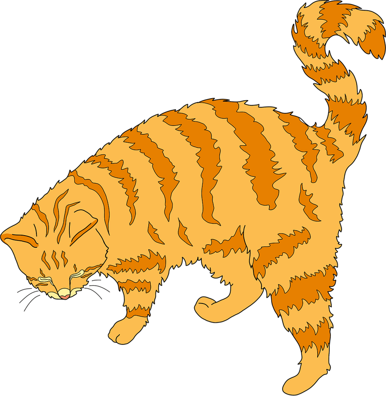 Cat Drawing PNG