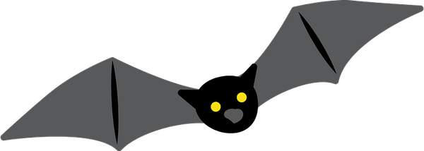 Bat Drawing PNG