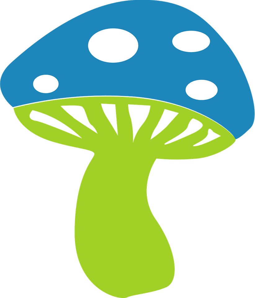 Mushroom Circle PNG