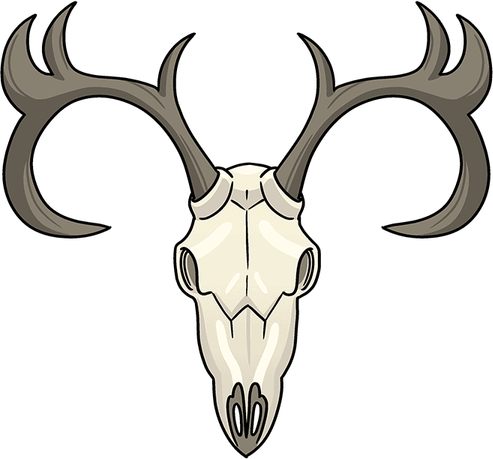 Skull Drawing PNG