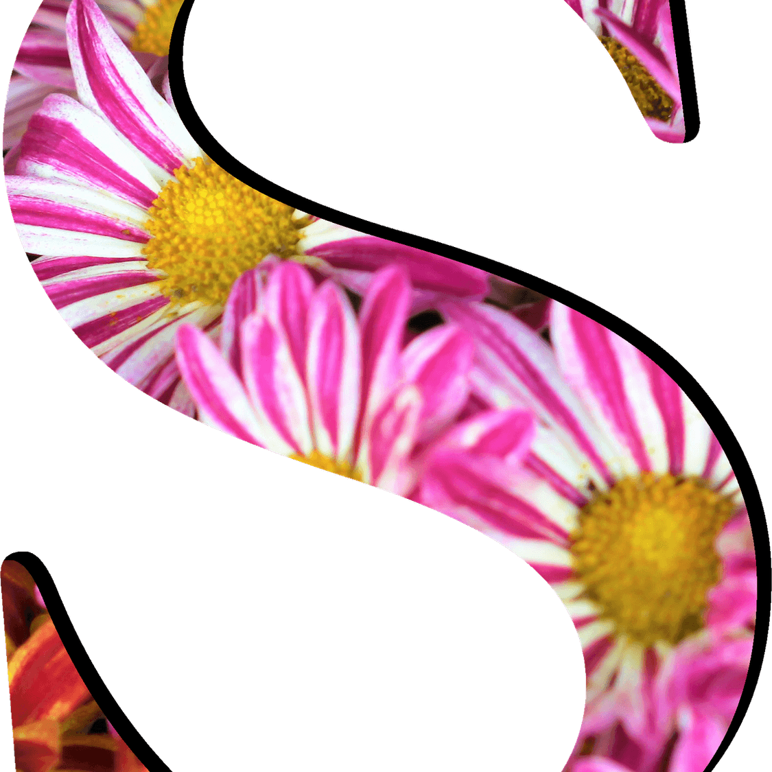S Letter PNG