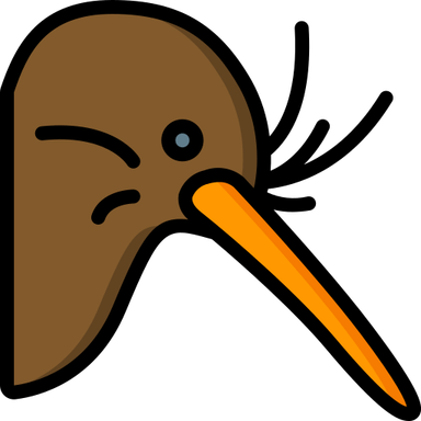 Cartoon Kiwi Bird PNG