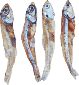 Dry Fish PNG