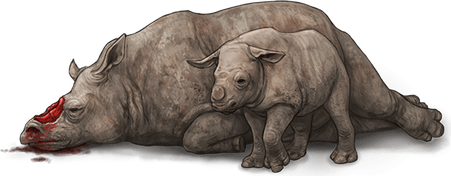 Baby Rhino PNG