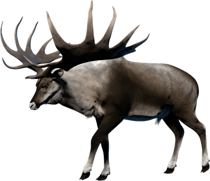 Hollow Horned Ungulates PNG
