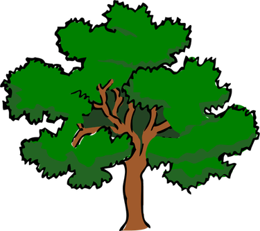 Spanish Moss Tree PNG